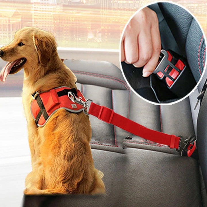 The Ultimate Companion for Safe Travels with Your Pet