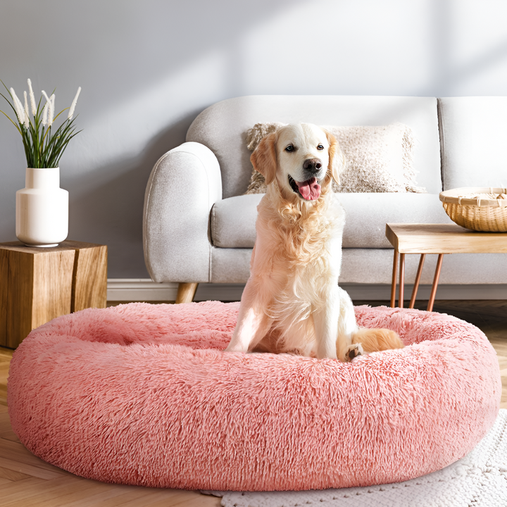 Cozy Comfort for Better Pet Sleep