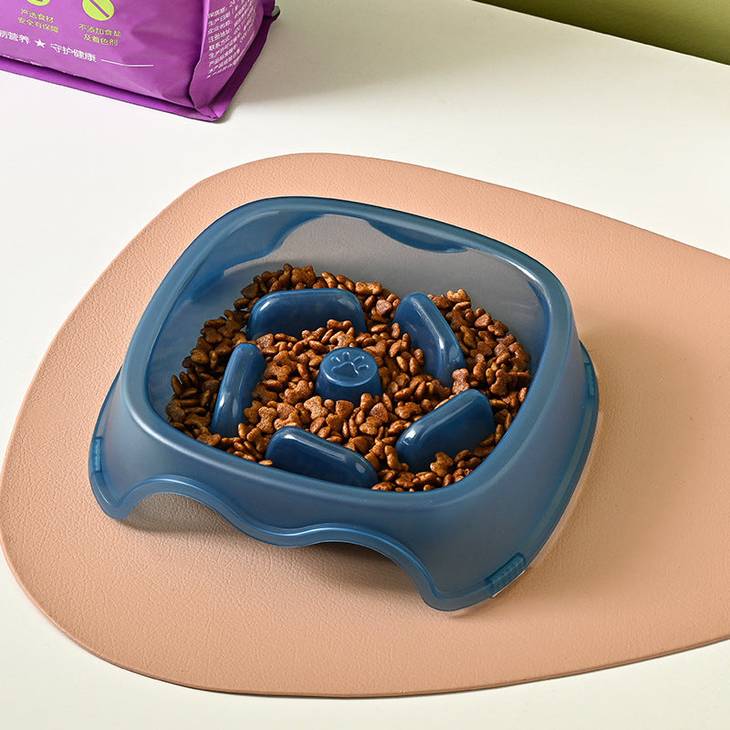 Slow Feeding Anti Choking Pet Water Bowl