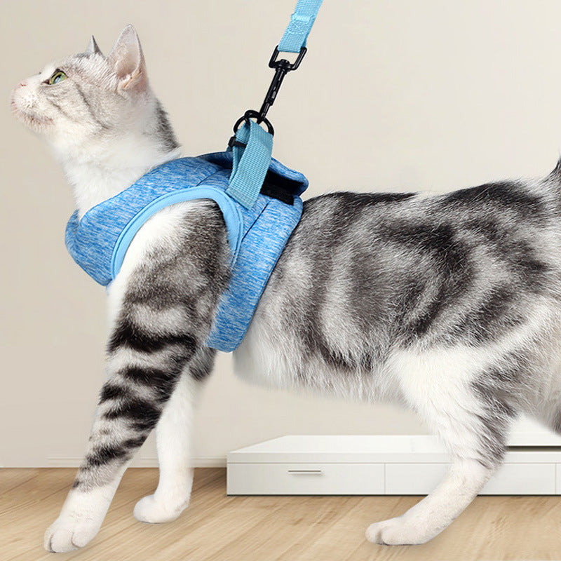 Lightweight Breathable Lace Rope Pet Chest Strap Leash