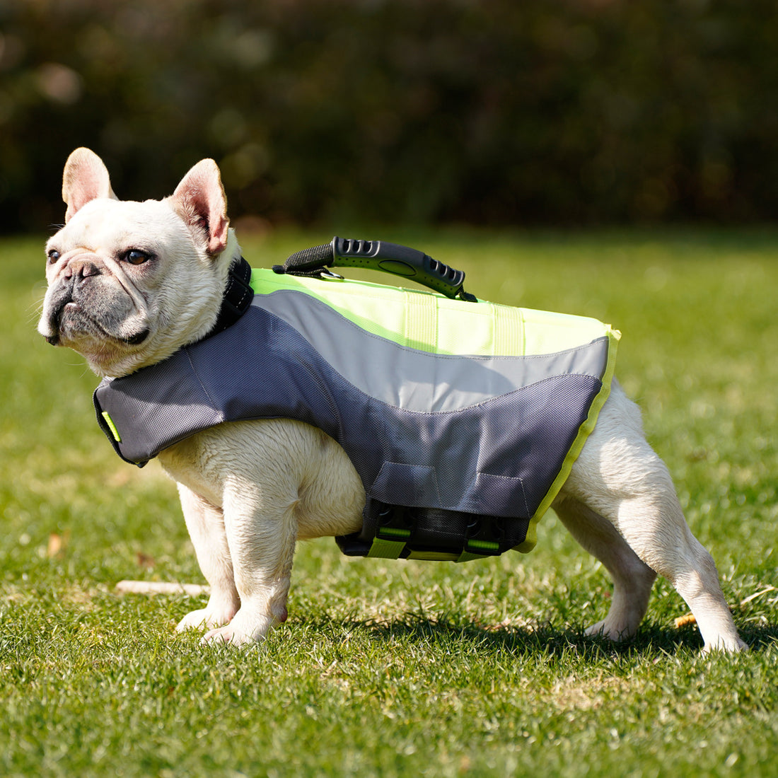 Reflective Pet Swim Life Safety Jacket