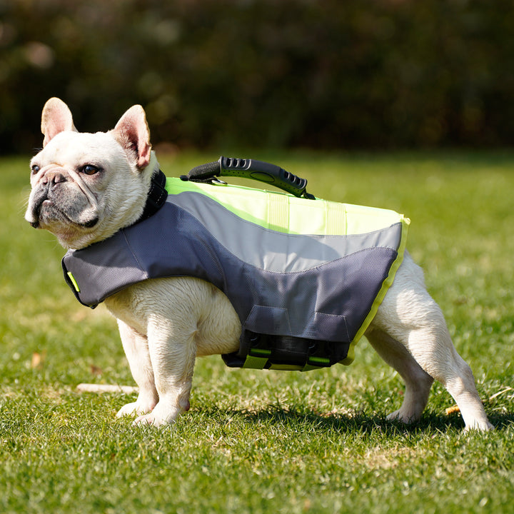 Reflective Pet Swim Life Safety Jacket