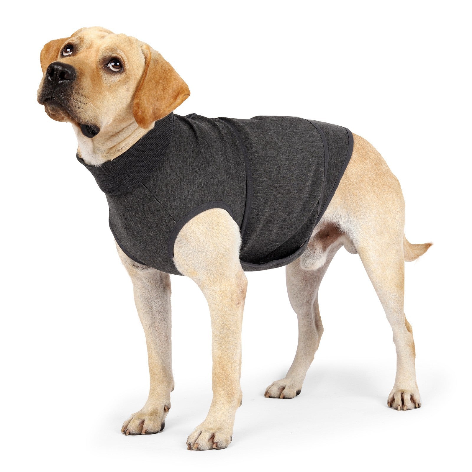 Polyester Comfort Cotton Double Layer Warm Pet Jacket