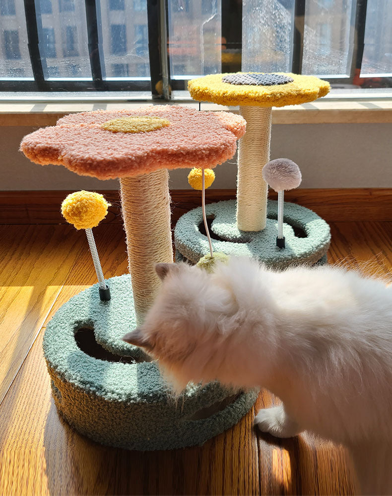 Pet Scratching Board For Claw Grinding And Play