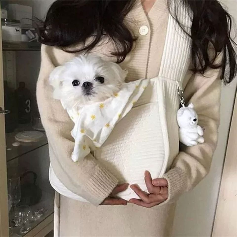Breathable Canvas Handbag Style Pet Carrier Tote Bag