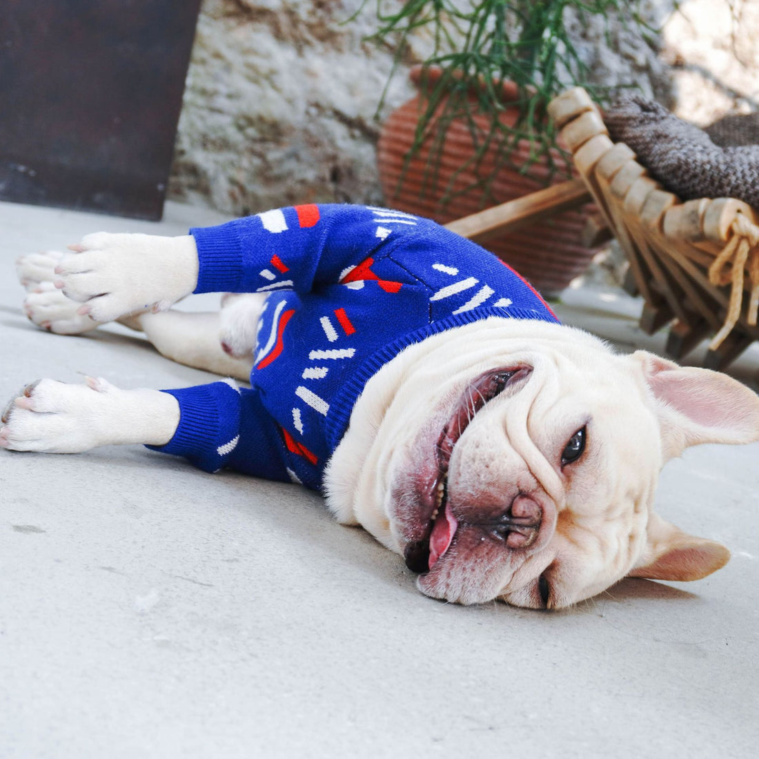 Pet Sweater Warm Knit Clothing Apparel
