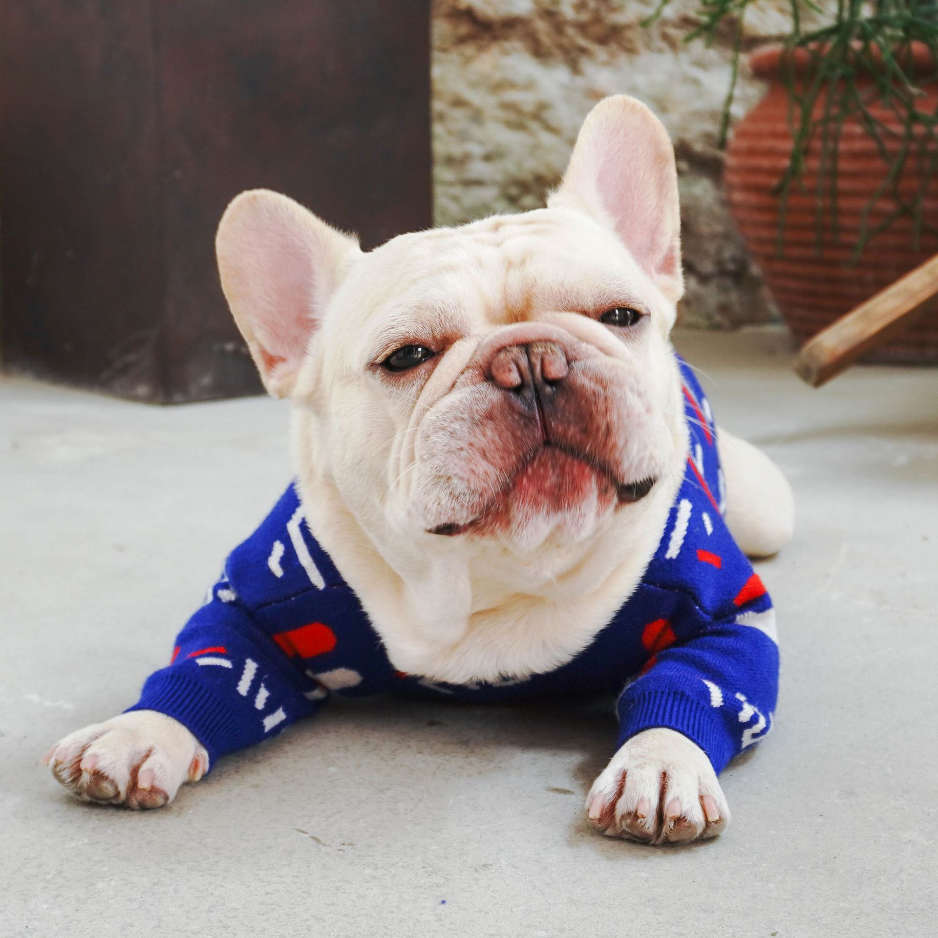 Pet Sweater Warm Knit Clothing Apparel