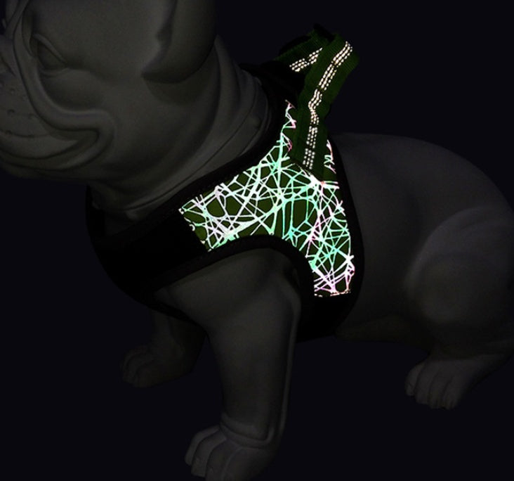 Vest Style Bullfight Pet Harness Leash Set