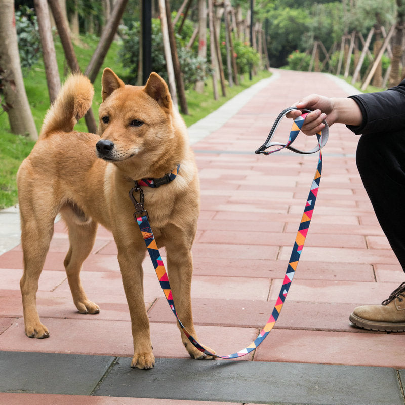 Adjustable Pet Supplies Walking Leash
