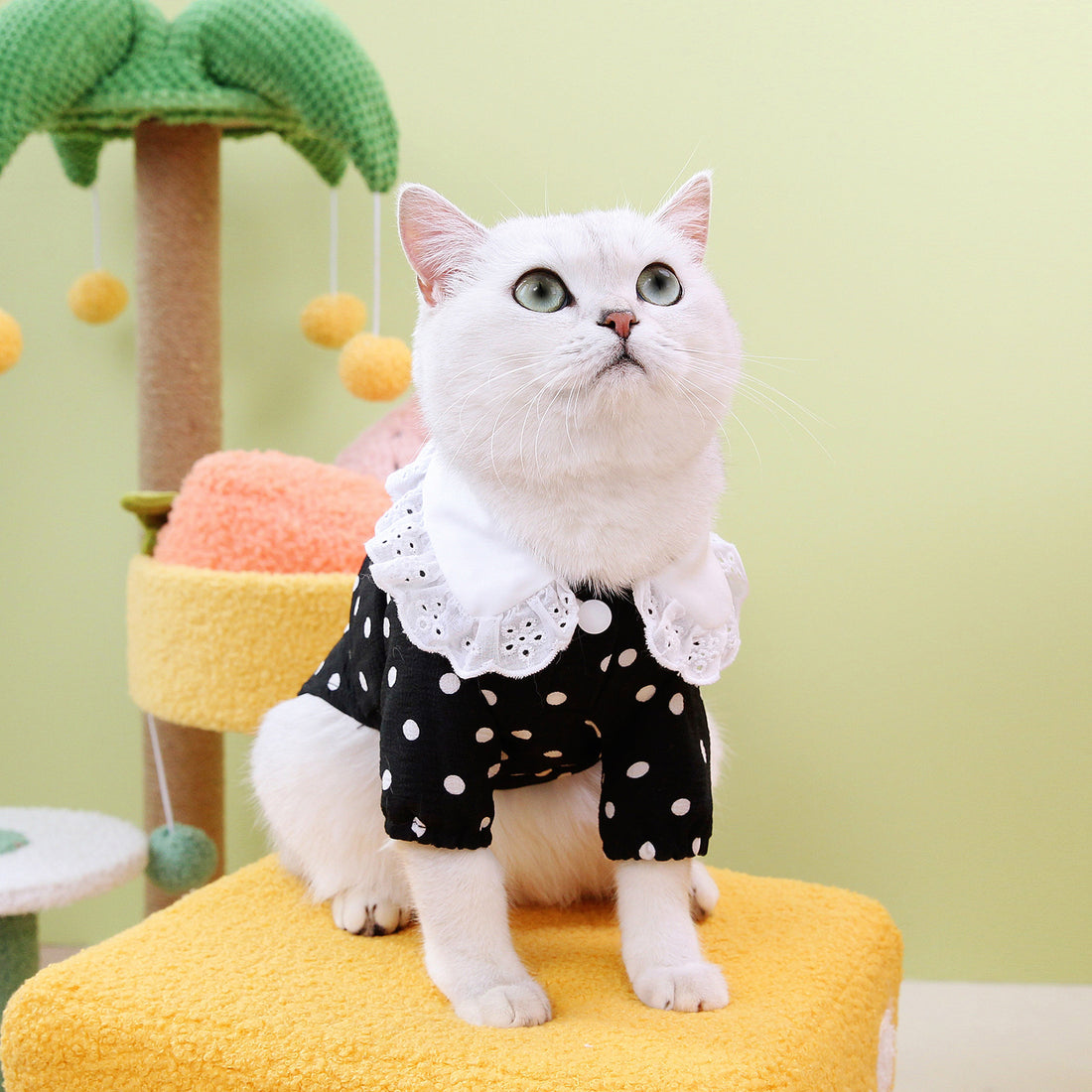 Blue Striped Pet T-Shirt Casual Clothing
