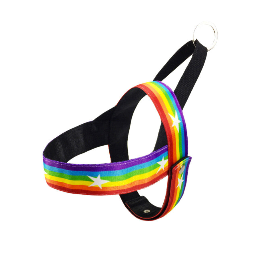 Rainbow Style Cool Pet Chain Leash Walking Lead