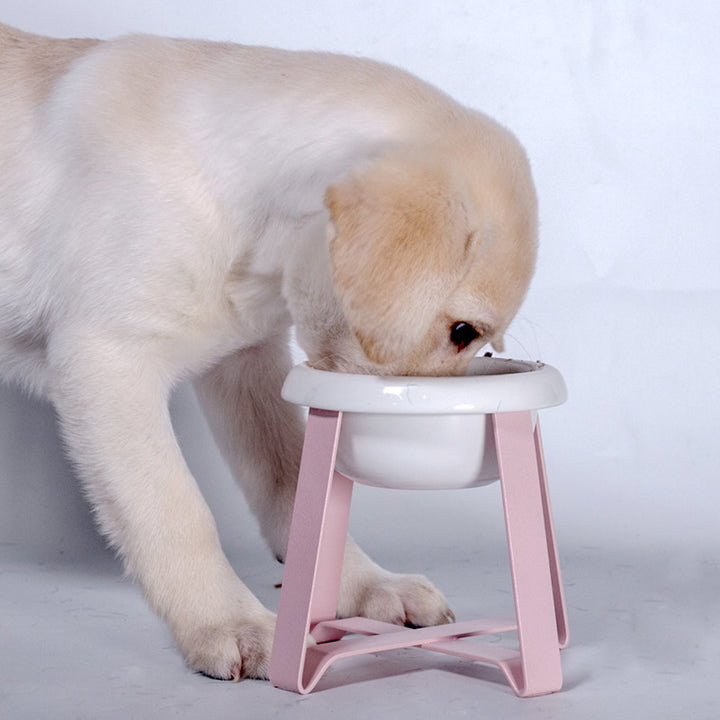 Anti Slip Double Bowl Pet Feeding Stand With Iron Base