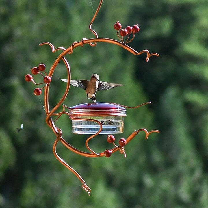 Hanging Garden Self-Service Water Feeder Window Hummingbird Feeder
