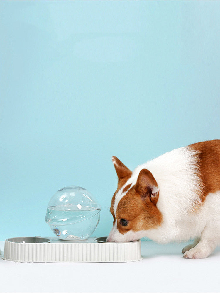 Automatic Plastic Pet Water And Food Dispenser Bowl