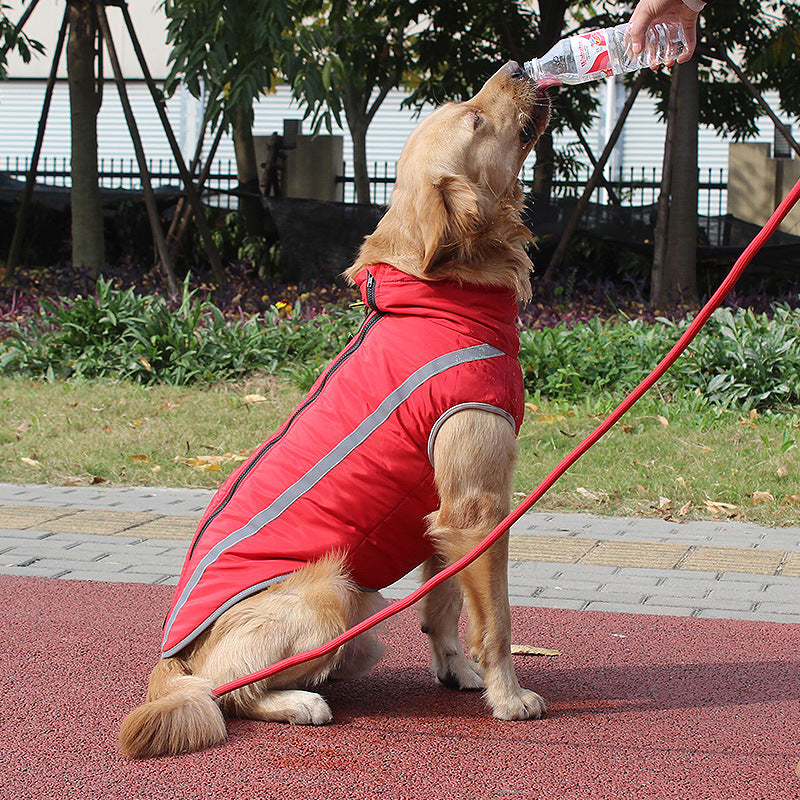 Winter Reflective Padded Warm Pet Jacket