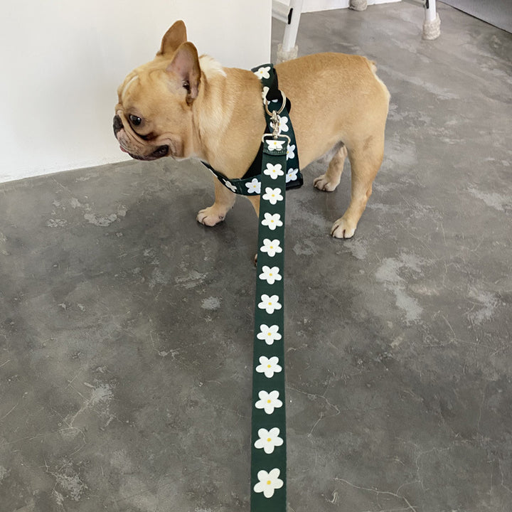 Vest Style Adjustable Pet Leash For Outdoor Walking