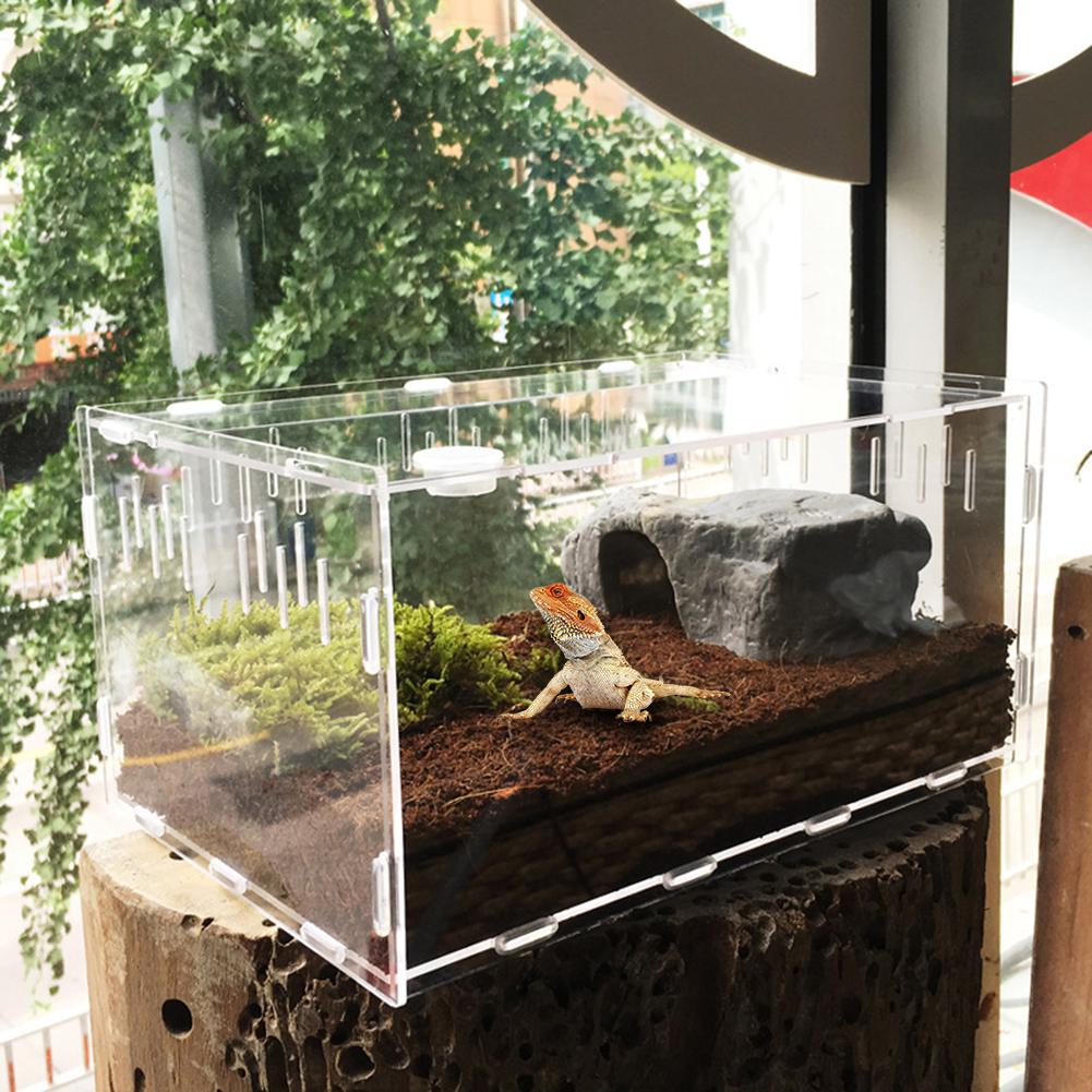 Reptile Breeding Pet Box