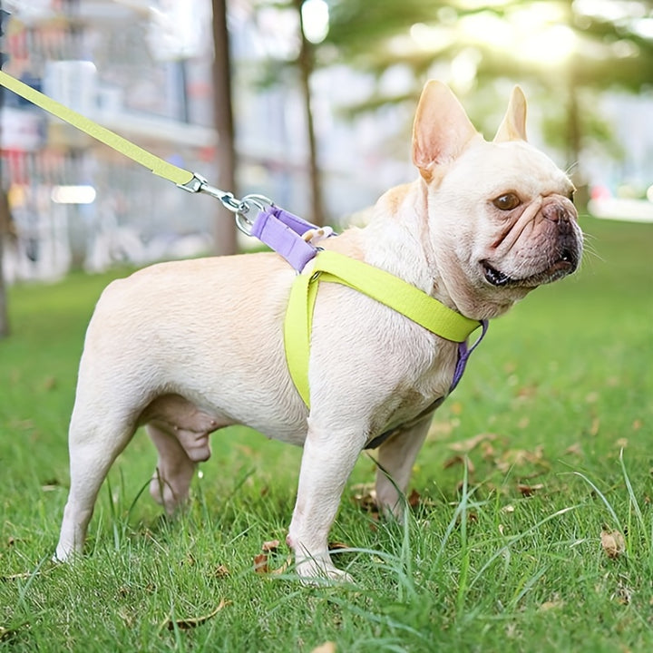 Rainbow Colorblock Anti Escape Vest Style Pet Harness Set