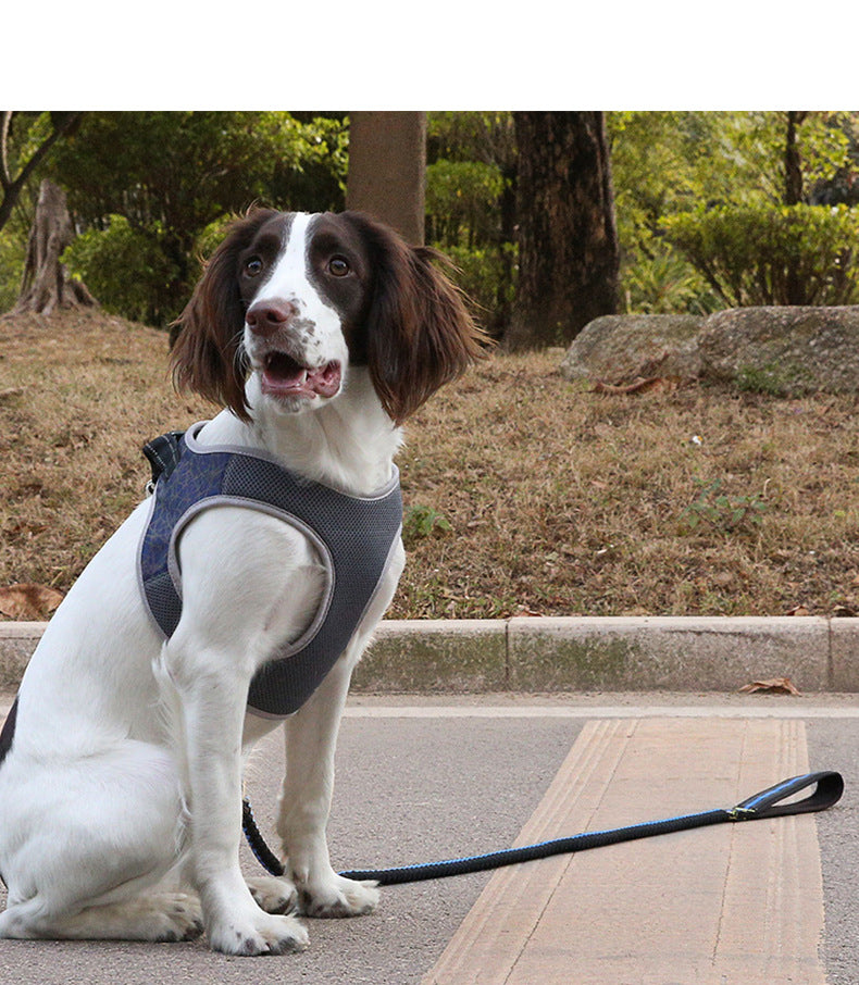 Vest Style Bullfight Pet Harness Leash Set