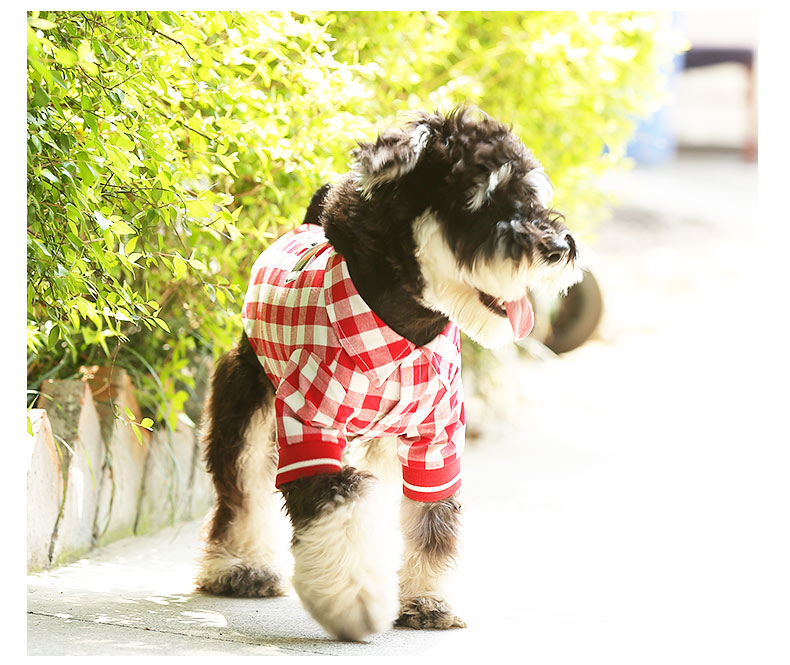 Summer Pet Graphic T-Shirt Casual Apparel