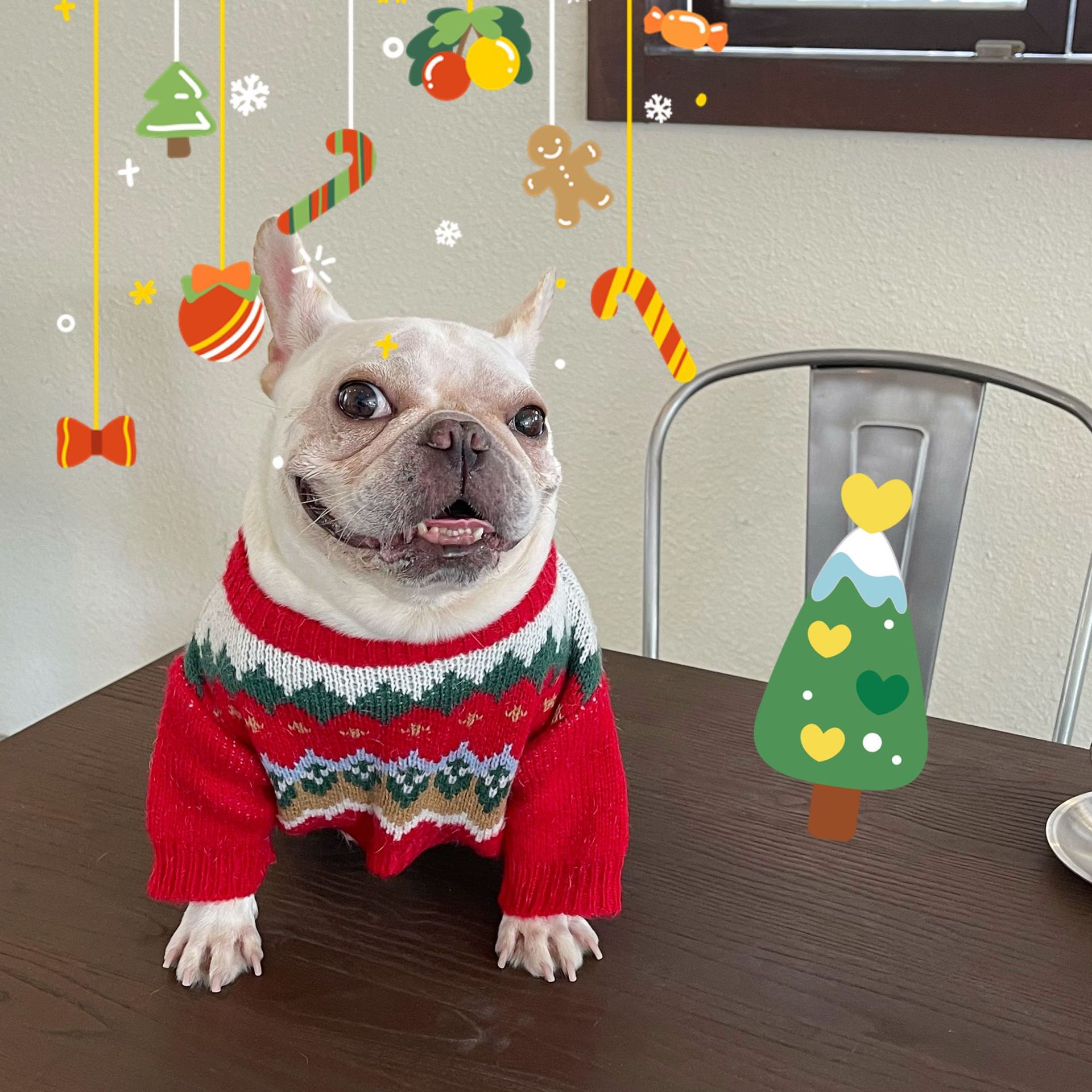 Pet Christmas Sweater Festive Holiday Knitwear Warm Winter Clothing