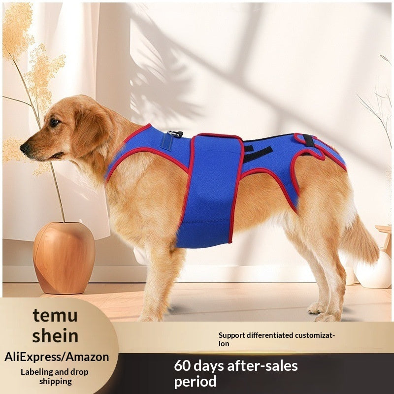 Pet Spine Support Jacket For Posture Correction And Comfort