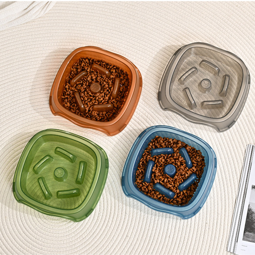 Slow Feeding Anti Choking Pet Water Bowl