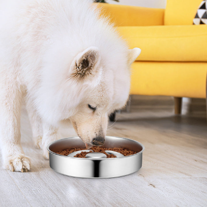 Stainless Steel Slow Feeding Pet Bowl With Neck Support