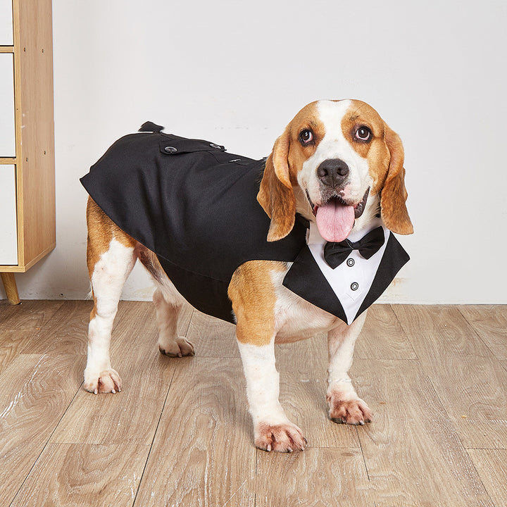 Formal Swallowtail Pet Suit Jacket Clothing