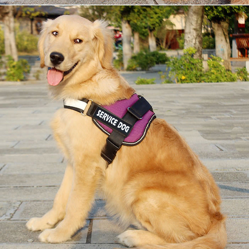 Adjustable Pet Harness Leash Walking Set