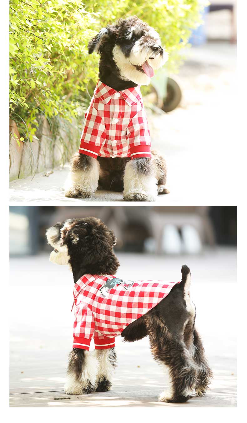 Summer Pet Graphic T-Shirt Casual Apparel