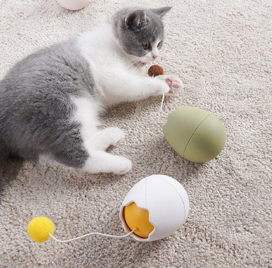 Interactive Pet Funny Play And Entertainment Toy