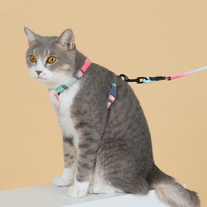 Fashion Anti Escape Adjustable Pet Leash