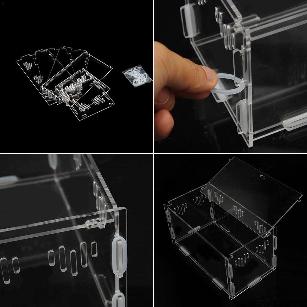 Reptile Breeding Pet Box