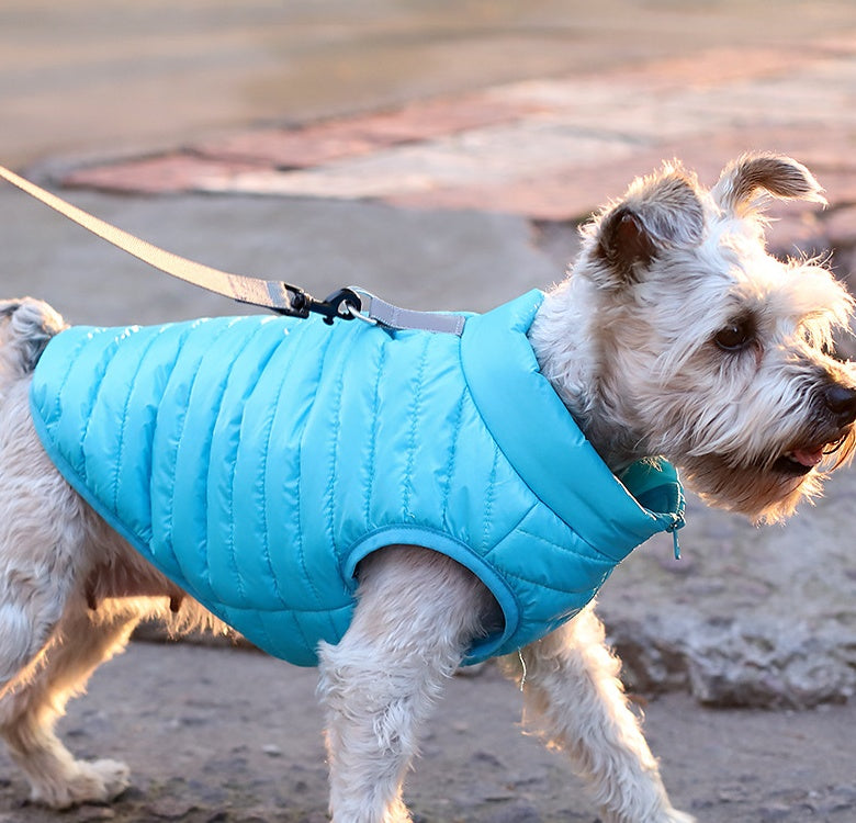Autumn Winter Nylon Zipper Warm Pet Jacket