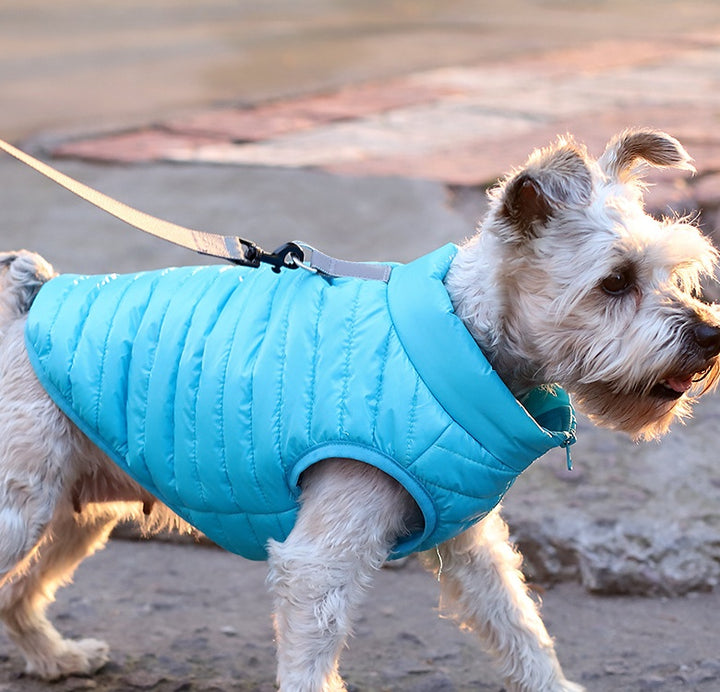 Autumn Winter Nylon Zipper Warm Pet Jacket