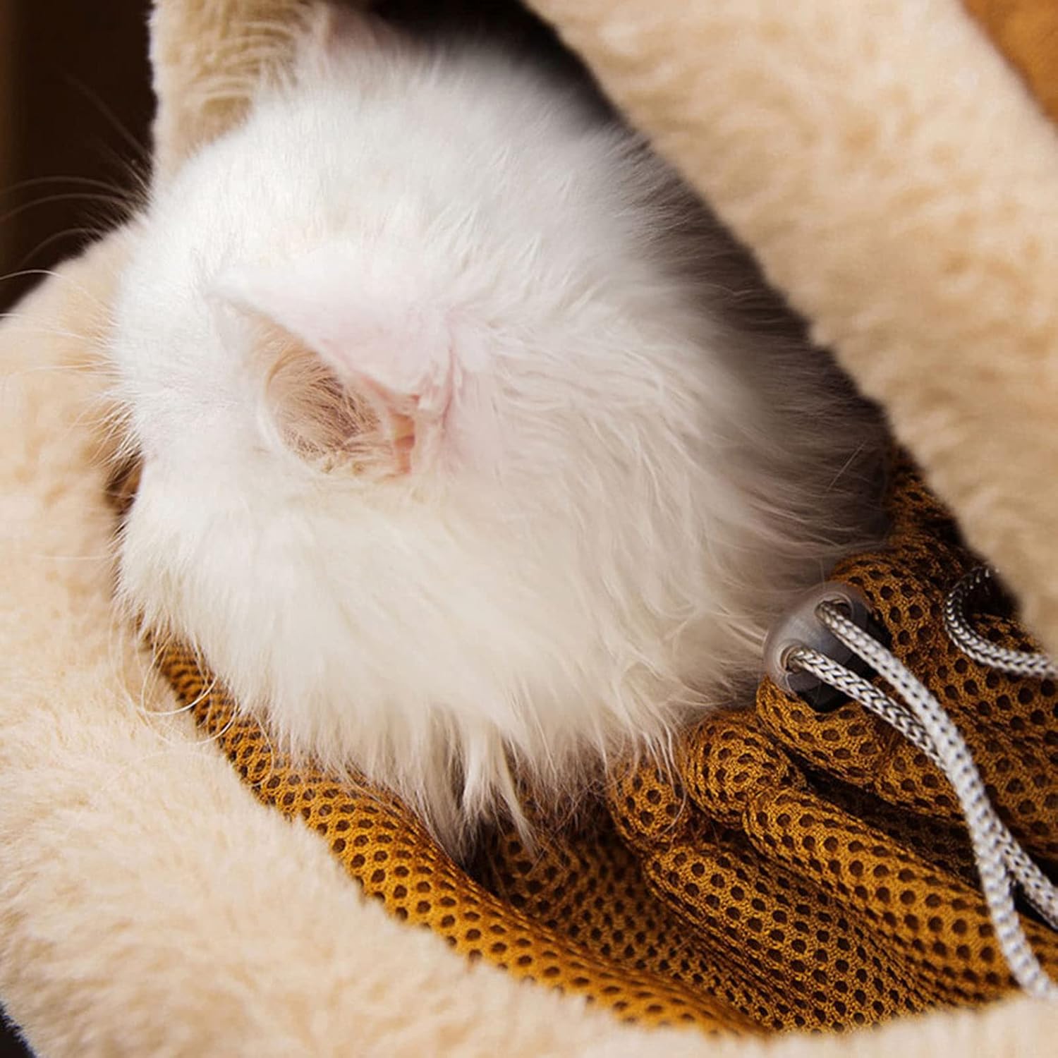 Plush Pet Carrier Backpack For Winter Travel Comfort