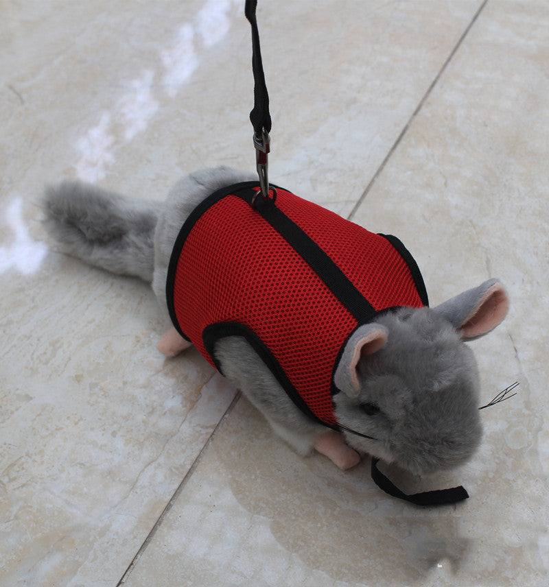 Adjustable Small Pet Walking Leash