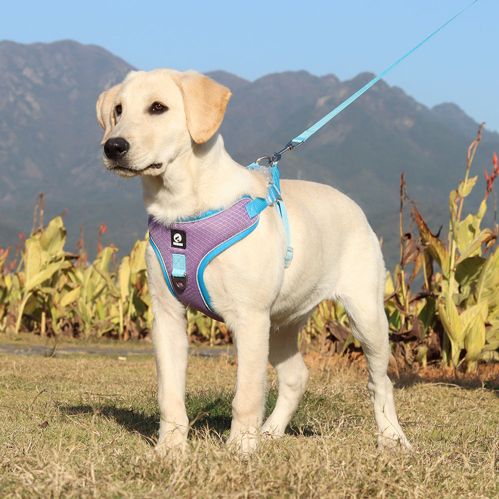 Breathable Adjustable Pet Harness With Leash