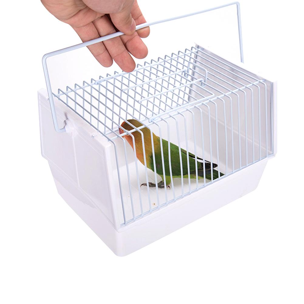 Outdoor Bird Cage