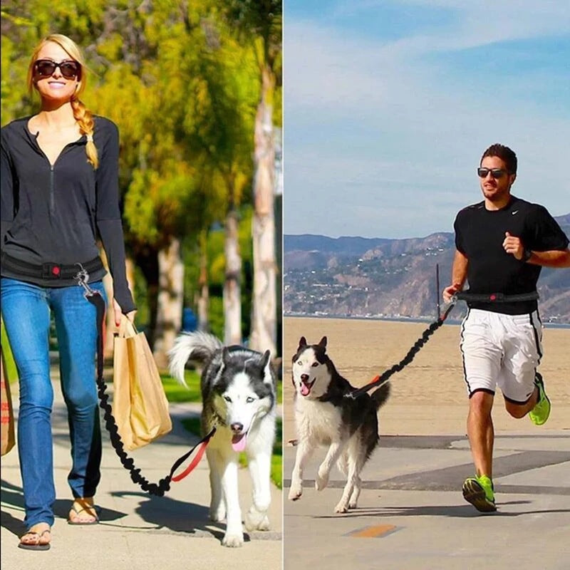 Adjustable Jogging Pet Harness Collar Leash Set
