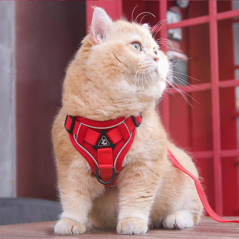 Pet Chest Harness Vest With Leash For Secure Control