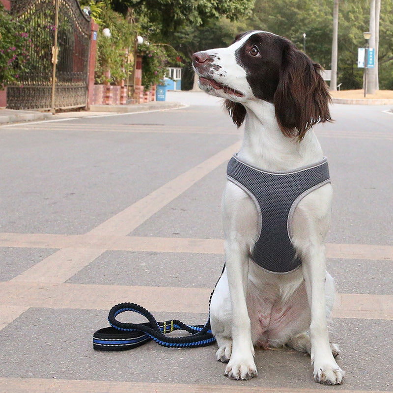 Vest Style Bullfight Pet Harness Leash Set