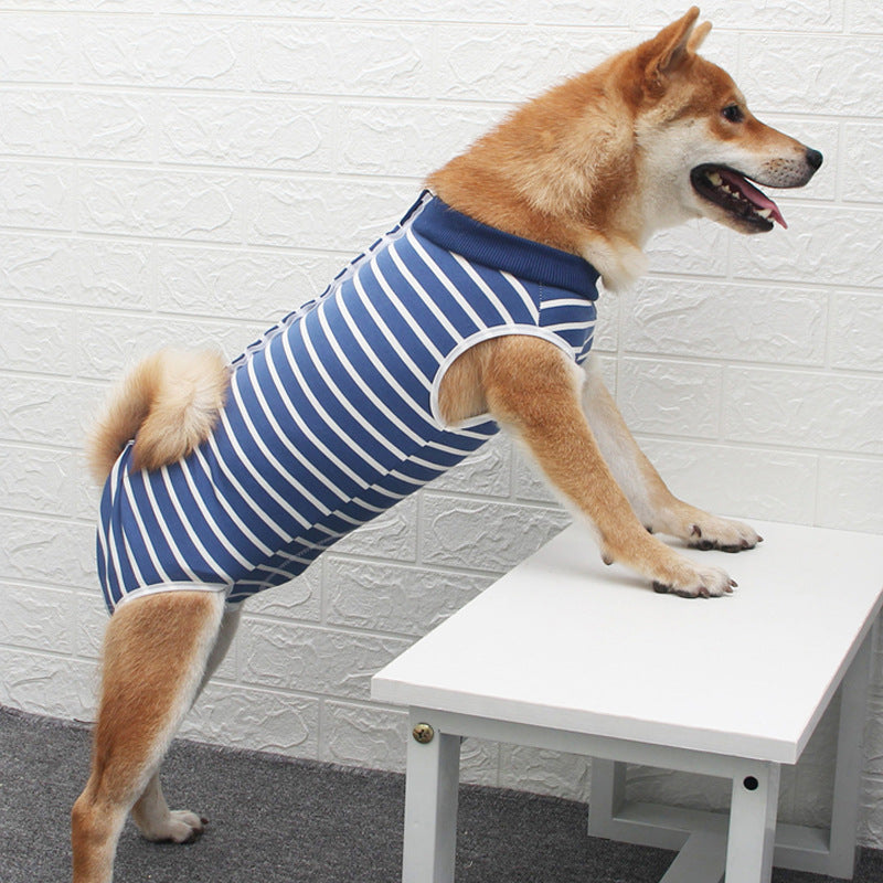 Fashion Multicolor Pet Apparel Stylish Clothing