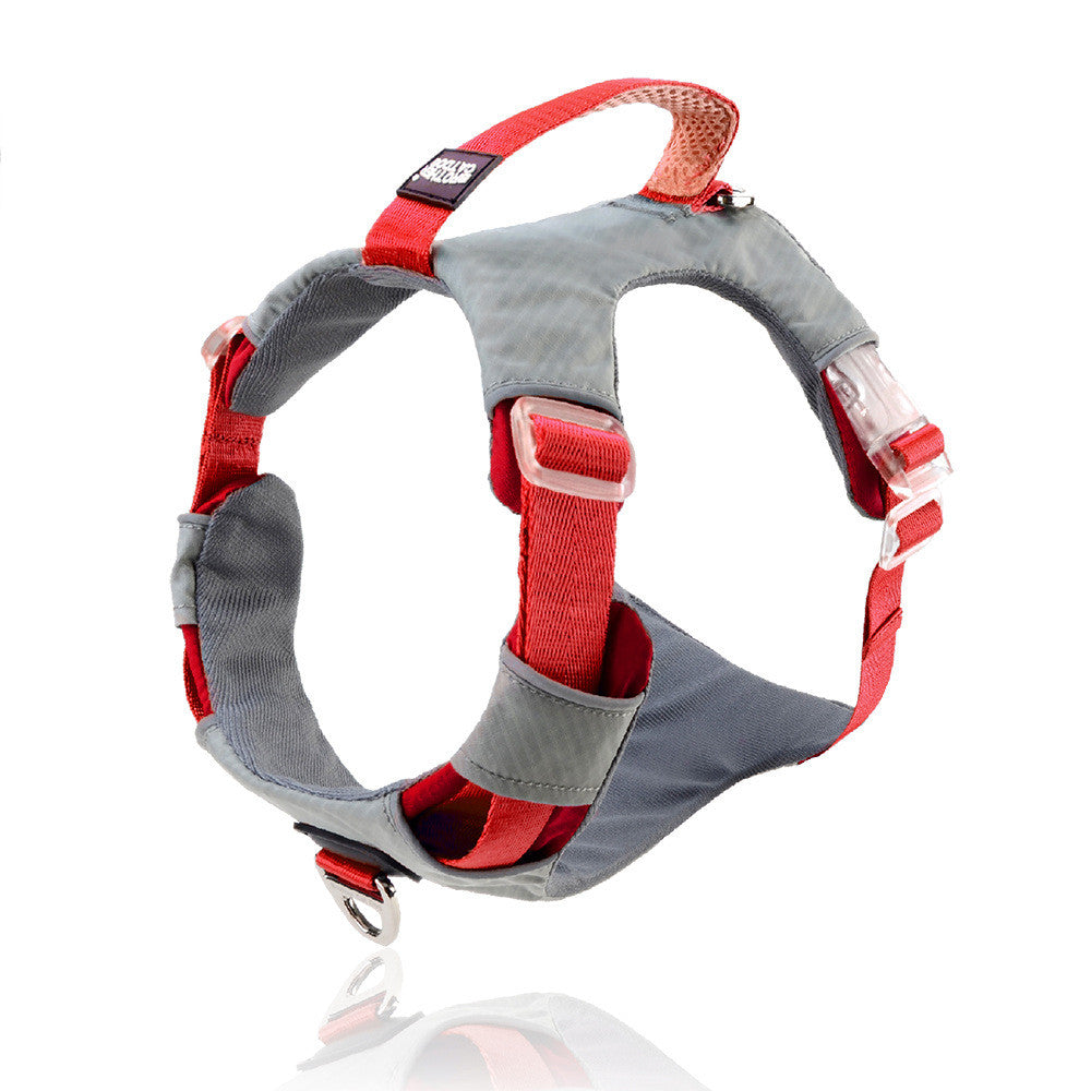 Heavy Duty Chest Strap Adjustable Pet Leash With Storage Bag