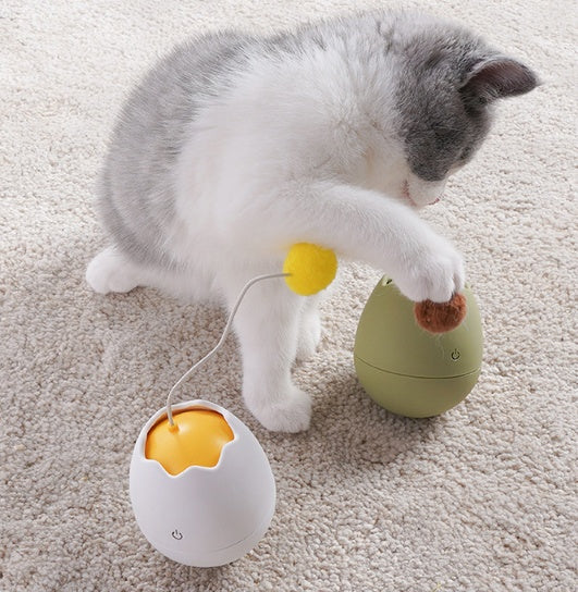 Interactive Pet Funny Play And Entertainment Toy