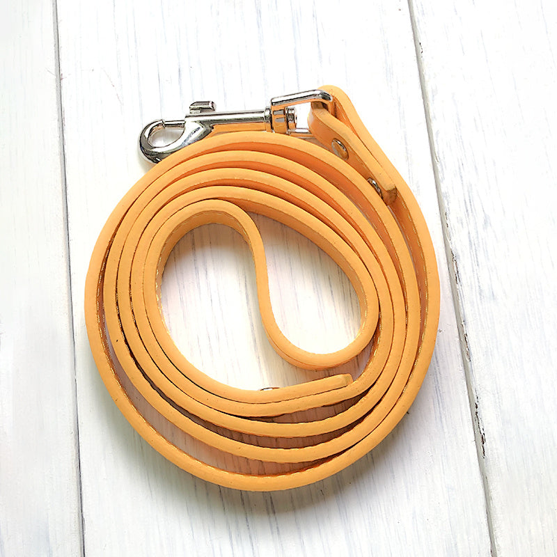 Adjustable Pet Leash Collar Set