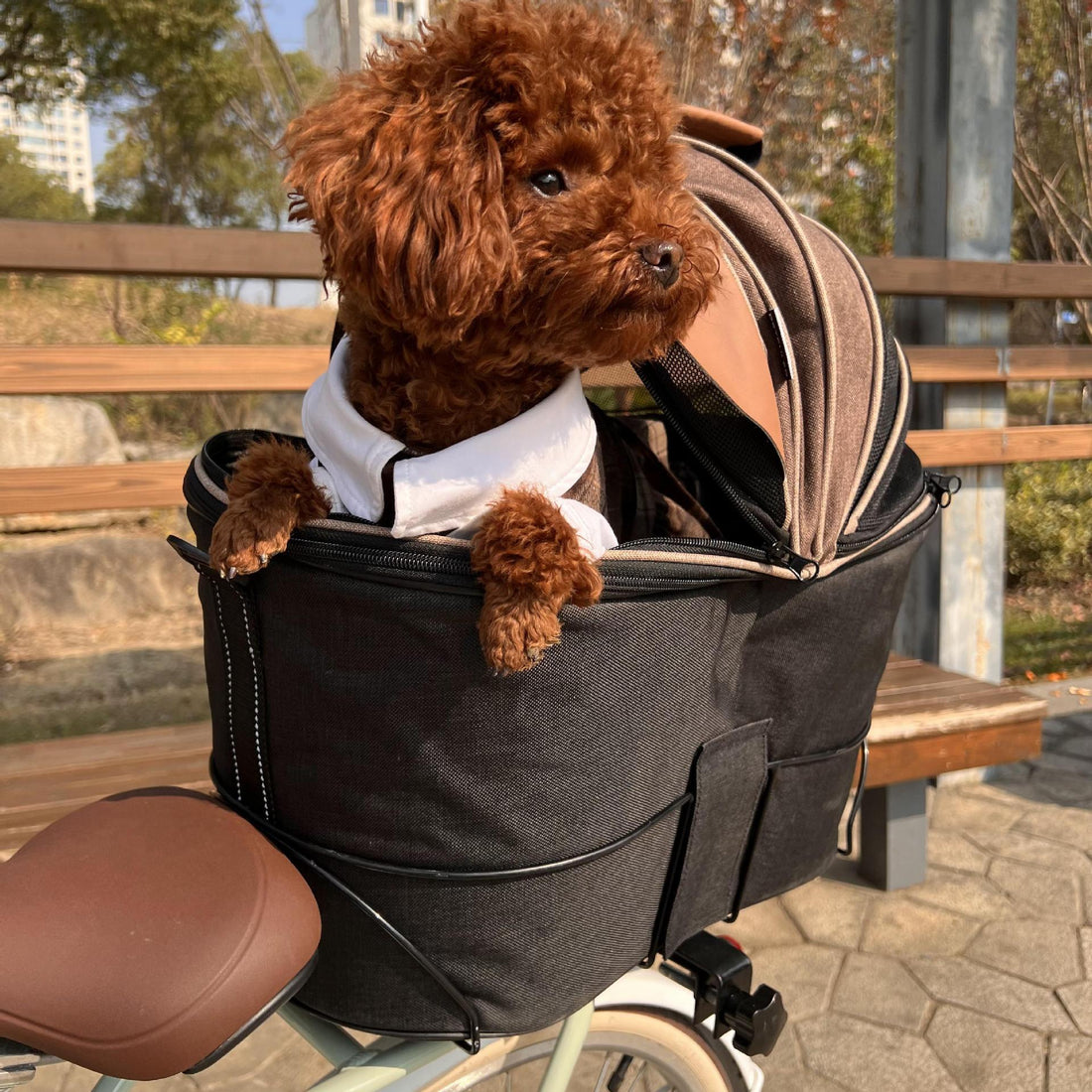 Foldable Canvas Pet Rear Seat Carrier Bag For Travel