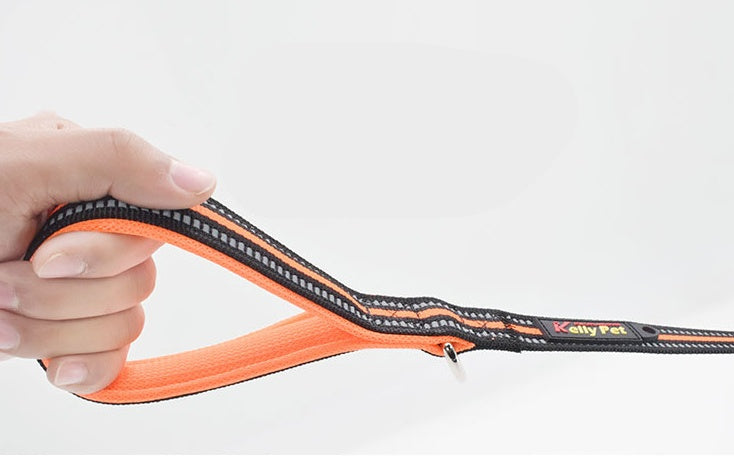 Nylon Retractable Assisted Pet Leash Adjustable Walking Lead