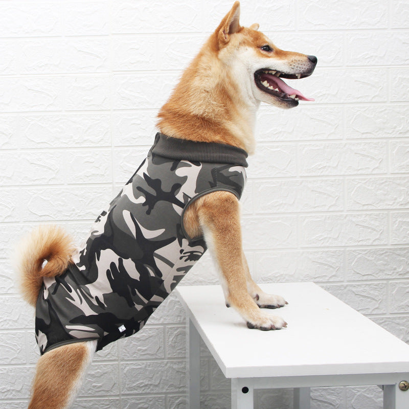 Fashion Multicolor Pet Apparel Stylish Clothing